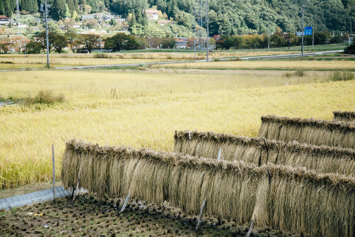 山の麓の生活を訪ねる、DISCOVER 国府